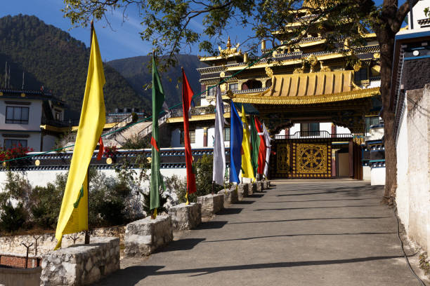 istock Azom International Buddhist Institute 655105696