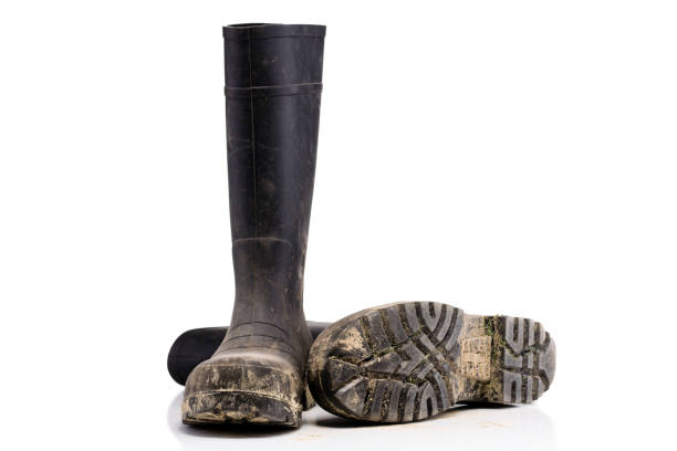 Dry dirty Mud boots isolated on pure white background fallen