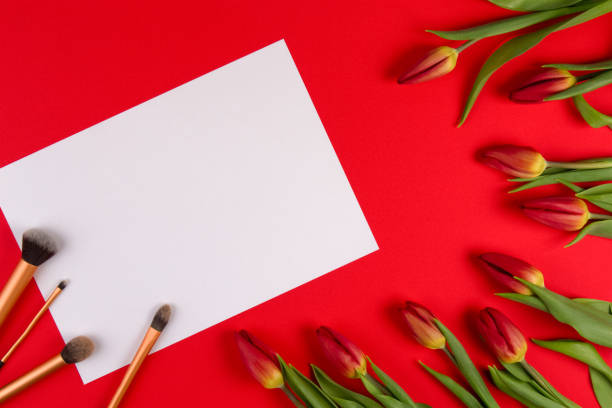 istock Make up brushes on white blank paper and spring flowers tulips on red background. Top view 655137562