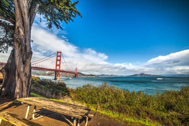 istock wooden bench in San Francisco 655137622