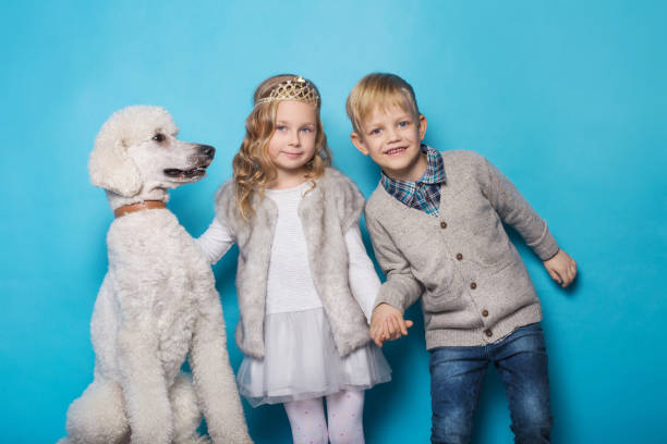 little princess and handsome boy with royal poodle. - real people blue white friendship imagens e fotografias de stock
