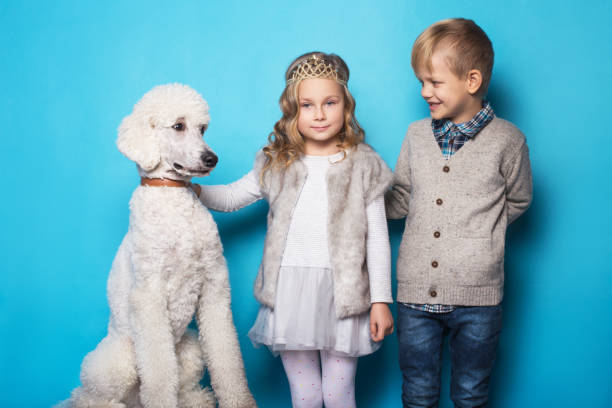 little princess and handsome boy with royal poodle. - real people blue white friendship imagens e fotografias de stock