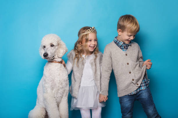 little princess and handsome boy with royal poodle. - real people blue white friendship imagens e fotografias de stock