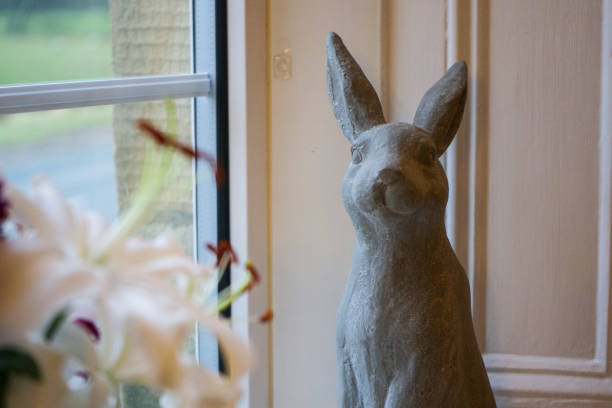 Rabbit sitting next to the window