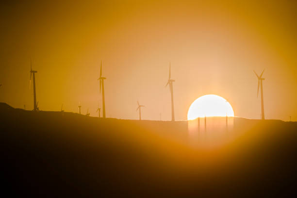 wind turbines at dawn - tehachapi imagens e fotografias de stock