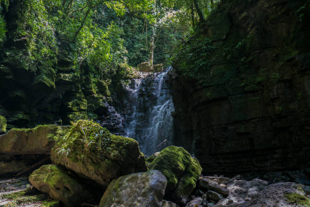 cachoeira tena - tena - fotografias e filmes do acervo