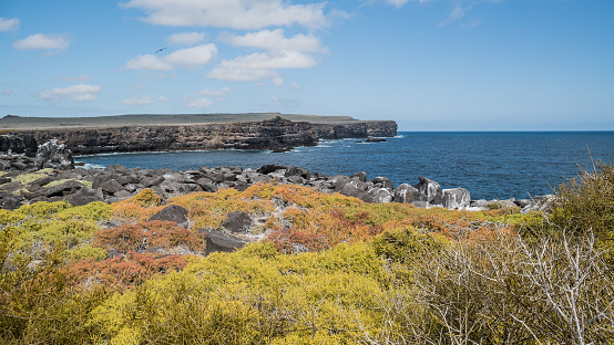 Nice view of the Coast of Galapagos