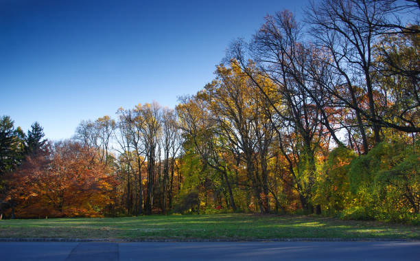 istock New England autumn country road 655168244