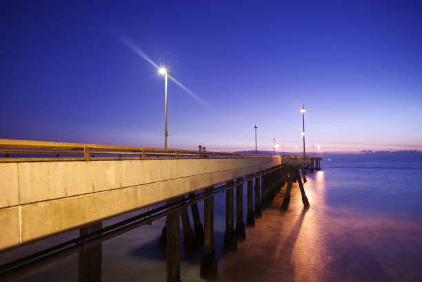 istock Venice Beach Pier California 655168470