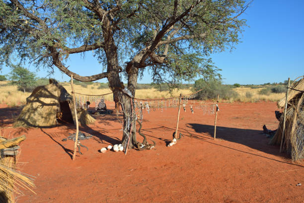 KALAHARI, NAMIBIA - JAN 24, 2016: Bushmen tribe village. The San people, also known as Bushmen are members of various indigenous hunter-gatherer peoples of Southern Africa