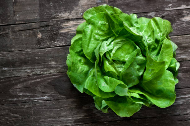 istock Green fresh organic salad 655179386