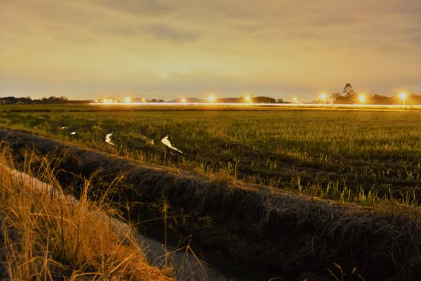 istock Night landscape in long exposure 655179592