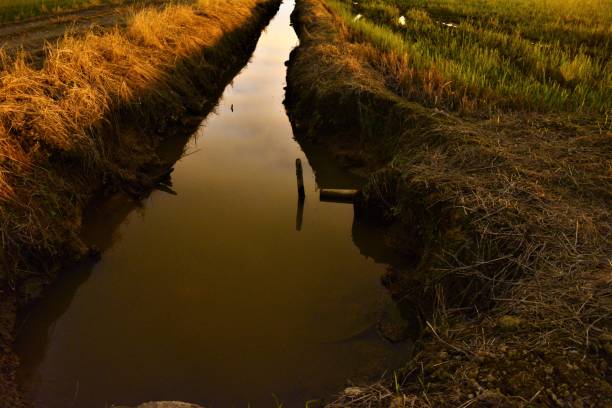 istock Night landscape in long exposure 655182560