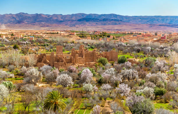 ruins of a kasbah in the valley of roses, morocco - morocco landscape mountain mountain range imagens e fotografias de stock