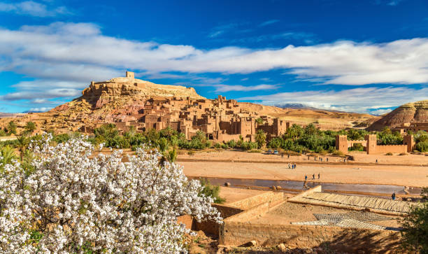 istock Ait Benhaddou and fruit tree blossoms - Morocco 655185632