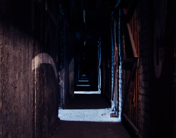 istock Long dark creepy hallway in abandoned industrial basement. 655194796