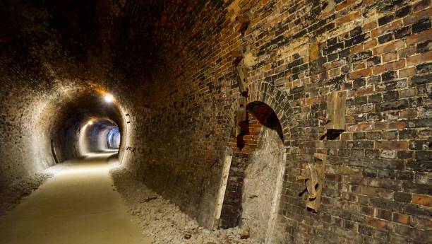 istock Tunnel of an Abt system railroad 655202350