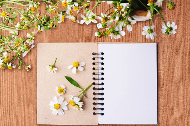 istock Blank notebook with white flower on vintage wooden table 655208428
