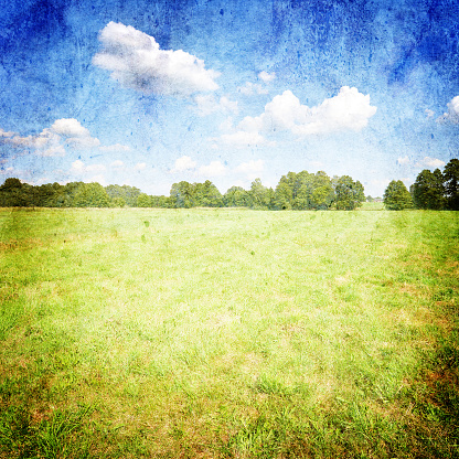 Beautiful summer landscape with green grass and blue cloudy sky- vintage style