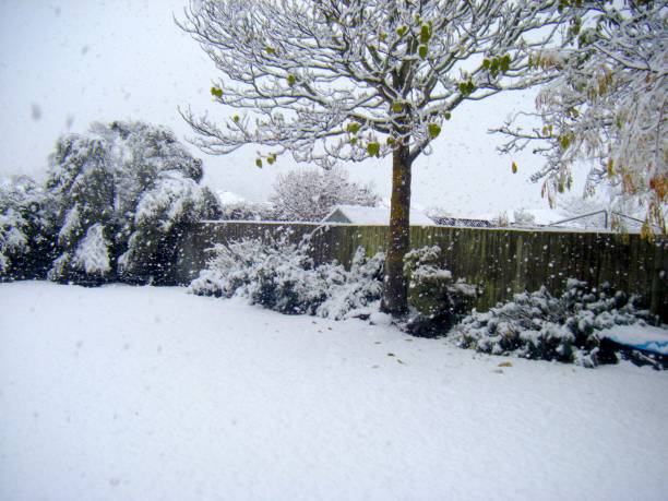 istock Snowy Outdoors 655220052