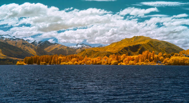 istock Lakeside scenery in New Zealand 655223556