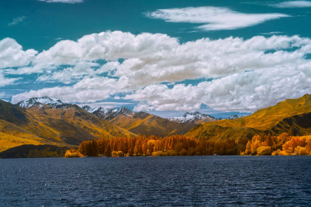 istock Lakeside scenery in New Zealand 655223602
