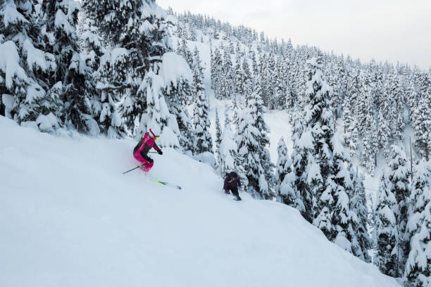 istock Skiing and snowboarding fresh powder 655232456