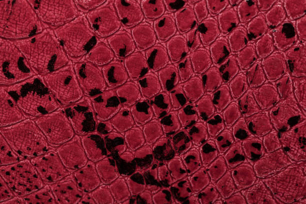 istock Red leather texture background. Closeup photo. Reptile skin. 655242560