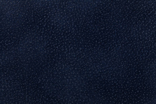 istock Background of dark blue fabric decorated with coat animal. 655243048