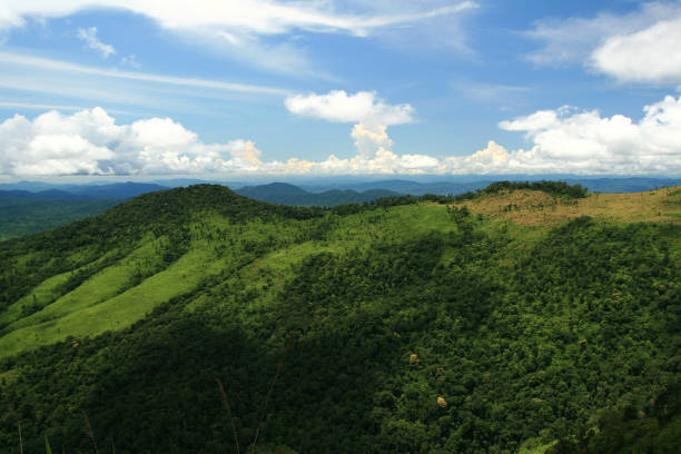 istock Mountains and tropical rain forest in Thailand 655245646