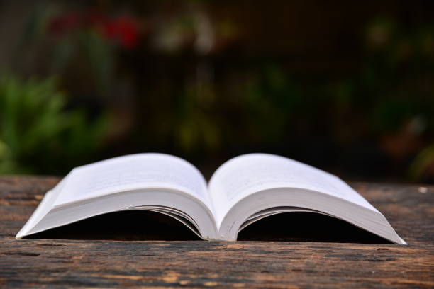 istock the book put on wooden table on dark background 655246260