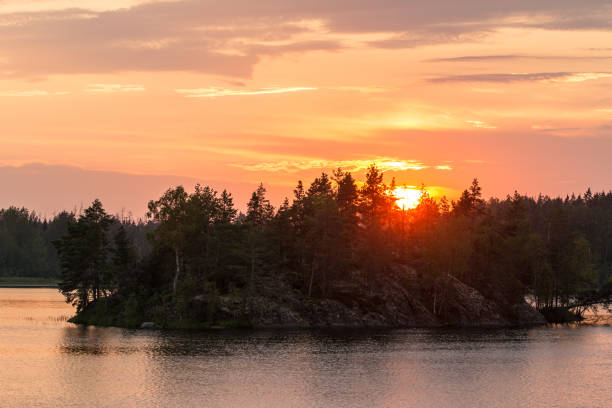 istock Island on the forest lake 655257336