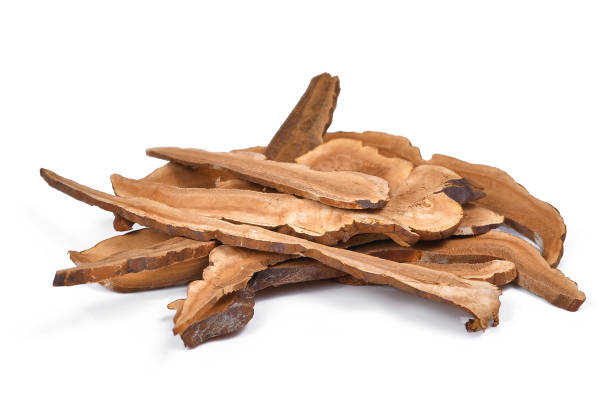 istock Dried lingzhi mushroom isolated on white 655262924