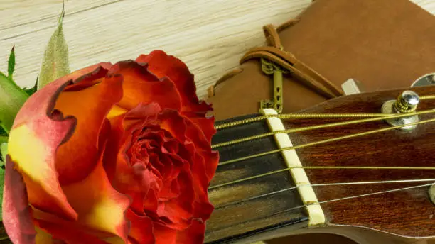 Guitar with a bouquet of roses as a background