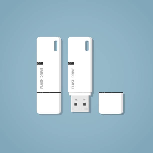 ilustrações de stock, clip art, desenhos animados e ícones de usb flash drive - open harddisk flash