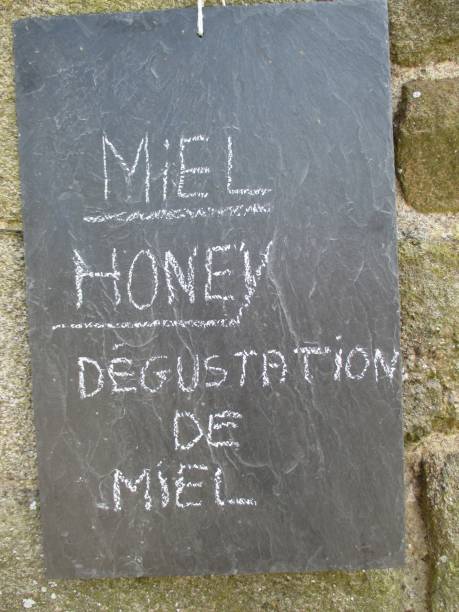 istock Honey - Honey trade - Tasting - Slate 655284874