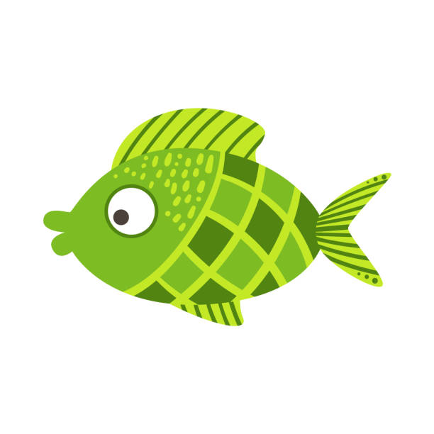 istock Green Checkered Fantastic Colorful Aquarium Fish, Tropical Reef Aquatic Animal 655287280