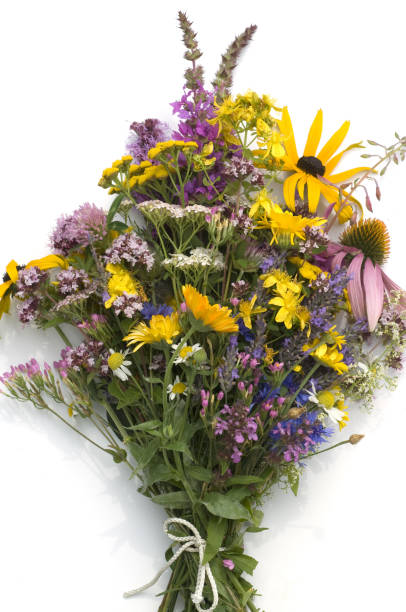 istock bouquet, arrangement, healing plants 655292328