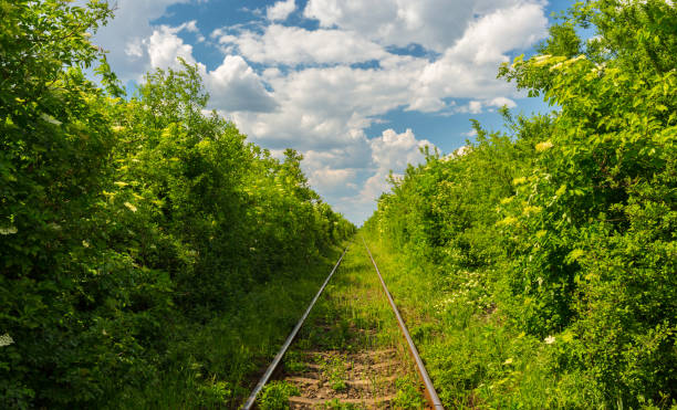 istock Rural area in spring with old railroad tracks 655307032
