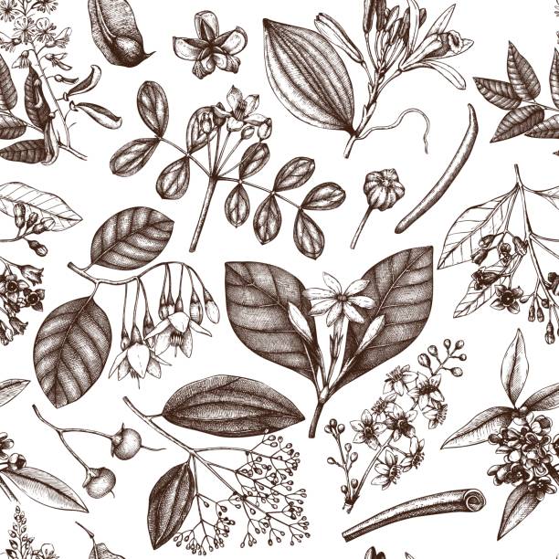 aromatic_pattern_vol.2_2 - manuka stock illustrations