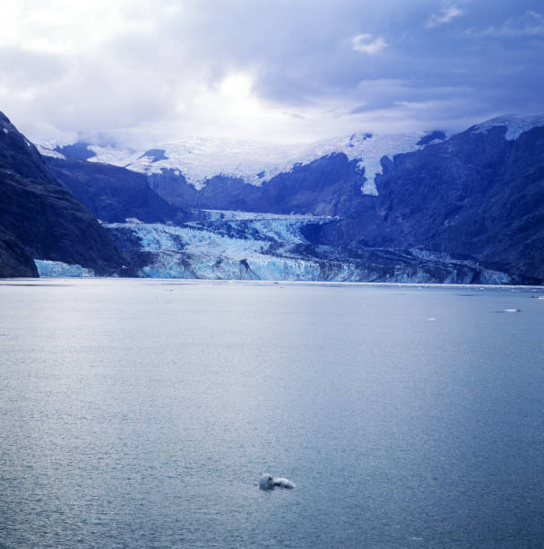 istock Glacier, Glacier Bay, Alaska, USA. 655314196