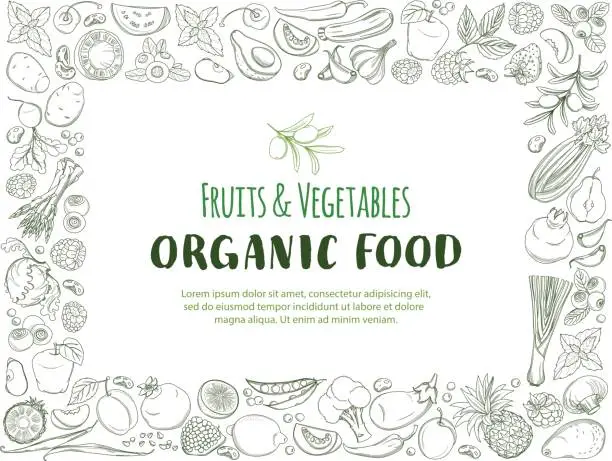 Vector illustration of Restangle Frame border pattern organic farm fresh fruits and vegetables