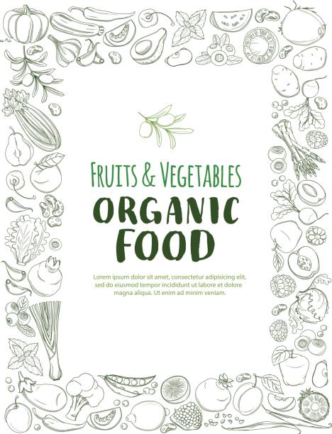 ilustrações de stock, clip art, desenhos animados e ícones de restangle frame border pattern organic farm fresh fruits and vegetables - healthy eating healthy lifestyle salad vegetable