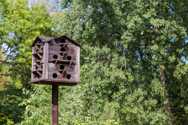 istock Vintage rustic birds house in Polish village 655332086
