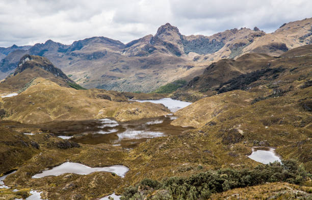 Cajas in Peru National Park Cajas National Park in Peru vakantie stock pictures, royalty-free photos & images