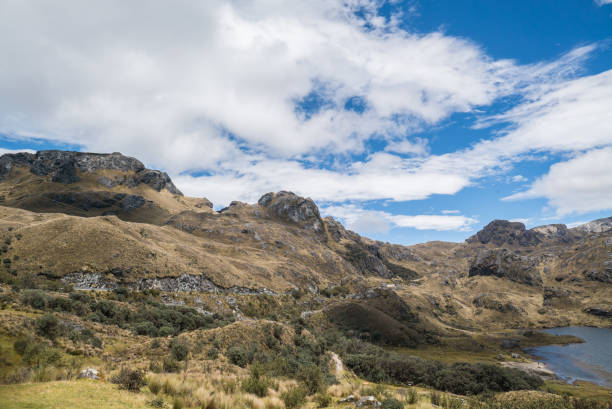 Cajas in Peru National Park Cajas National Park in Peru vakantie stock pictures, royalty-free photos & images