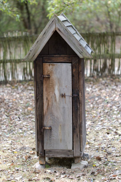 istock Old rustick retro beehive in village garden 655332146