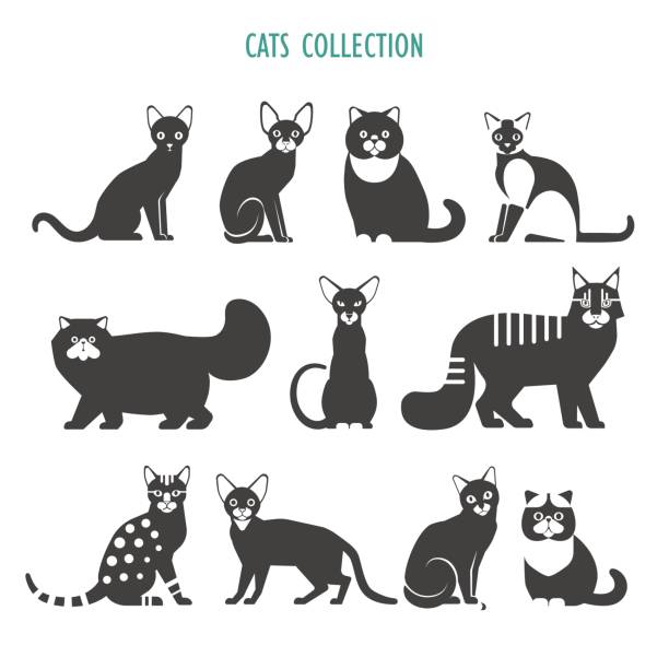 ilustraciones, imágenes clip art, dibujos animados e iconos de stock de colección de iconos de gatos - bengals