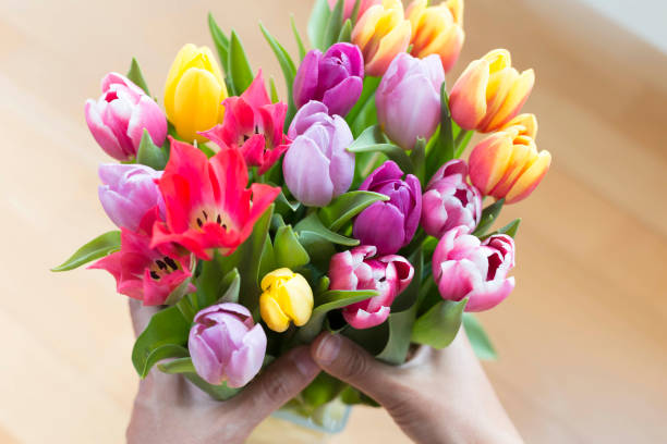 istock Hands holding a beautiful bouquet of tulips 655346396