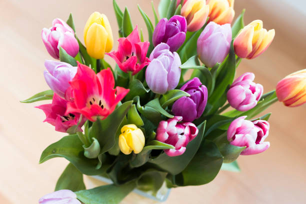 istock bouquet of spring tulips 655346402